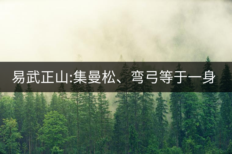 易武正山:集曼松、彎弓等于一身的貴族老黃片，好喝沒(méi)得...易武正山：集曼松、彎弓等于一身的貴族老黃片，好喝沒(méi)得說(shuō)