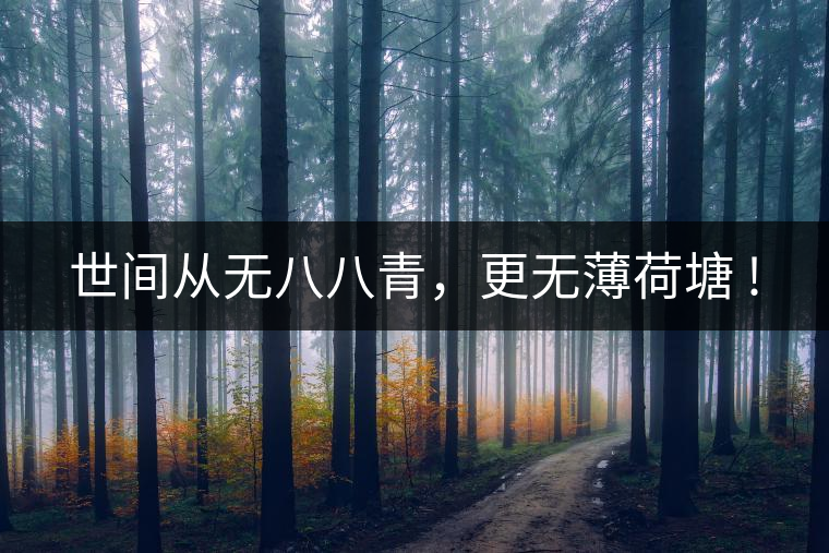 世間從無(wú)八八青，更無(wú)薄荷塘 !