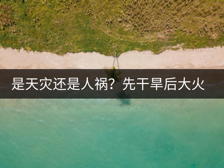 是天災(zāi)還是人禍？先干旱后大火，普洱茶將何去何從？