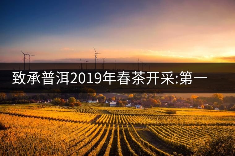 致承普洱2019年春茶開(kāi)采:第一站易武天門(mén)山致承普洱2019年春茶開(kāi)采：第一站易武天門(mén)山