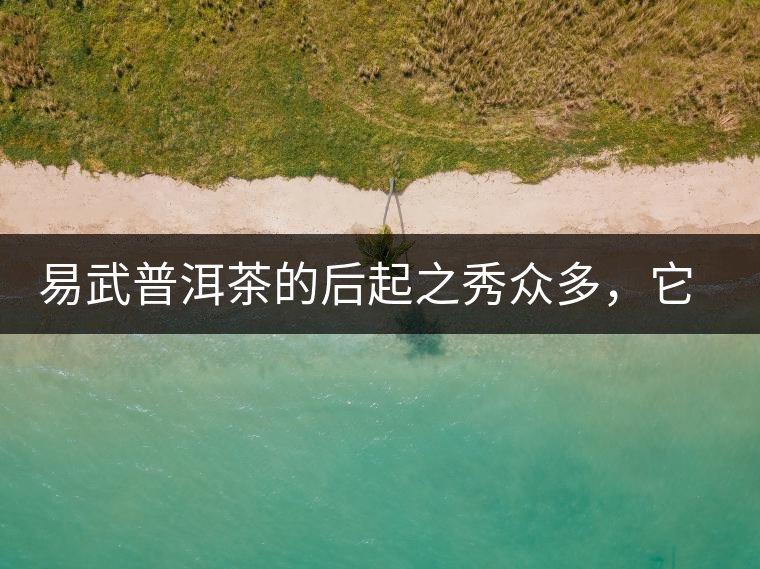 易武普洱茶的后起之秀眾多，它是還沒(méi)漲價(jià)的一個(gè)！