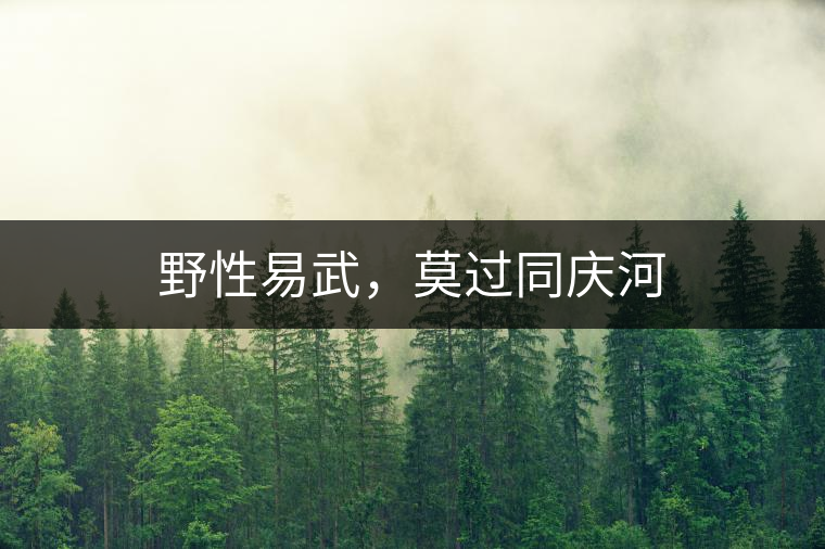 野性易武，莫過(guò)同慶河