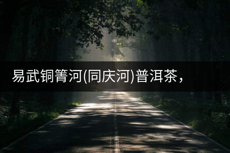 易武銅箐河(同慶河)普洱茶，讓我拜倒的不止它的口感易武銅箐河（同慶河）普洱茶，讓我拜倒的不止它的口感