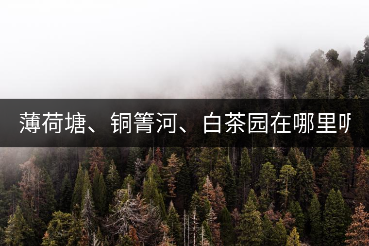 薄荷塘、銅箐河、白茶園在哪里呢?薄荷塘、銅箐河、白茶園在哪里呢？