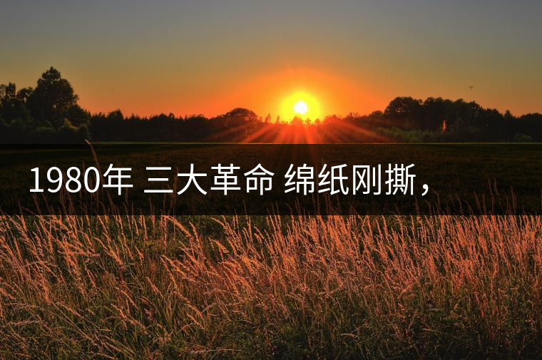 1980年 三大革命 綿紙剛撕，品相極好，整體干凈漂亮1980年 三大革命 綿紙剛撕，品相極好，整體干凈漂亮