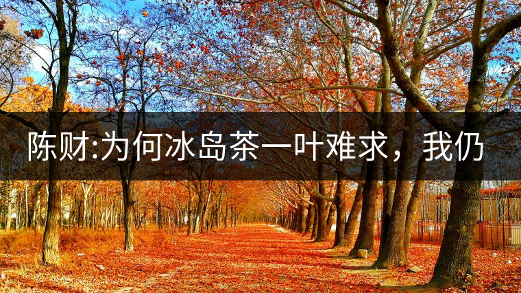 陳財(cái):為何冰島茶一葉難求，我仍然堅(jiān)持