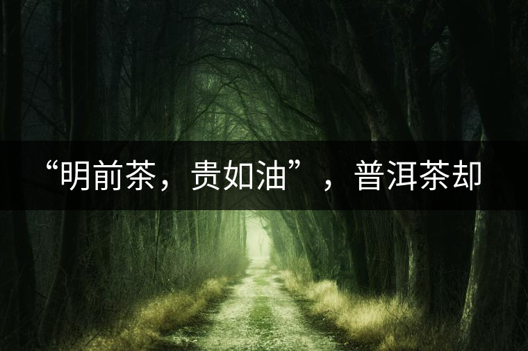 “明前茶，貴如油”，普洱茶卻不這么認為“明前茶，貴如油”，普洱茶卻不這么認為