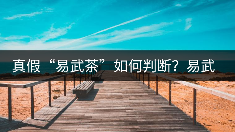 真假“易武茶”如何判斷？易武普洱茶有哪些特點？