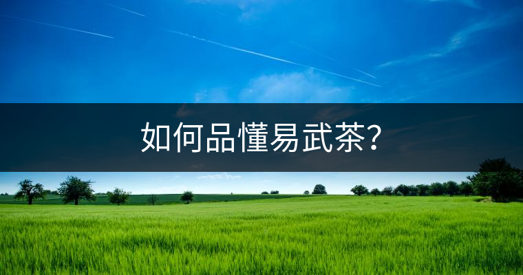 如何品懂易武茶？