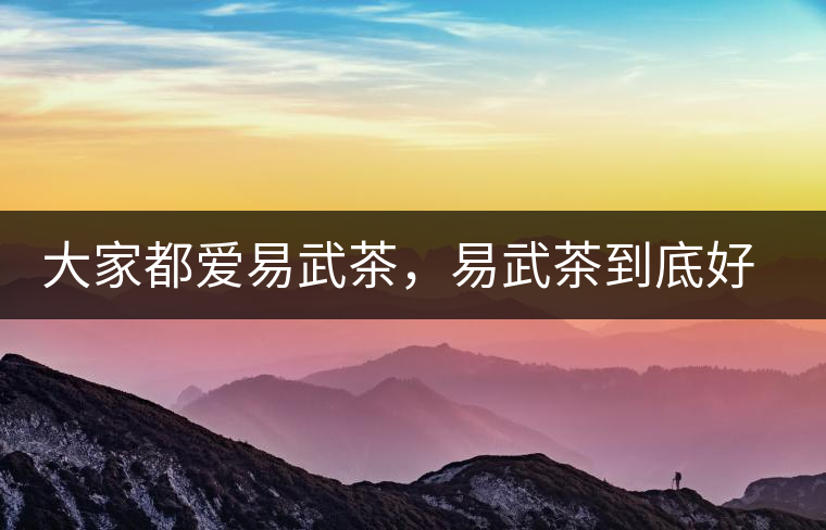 大家都愛易武茶，易武茶到底好在哪兒?大家都愛易武茶，易武茶到底好在哪兒？