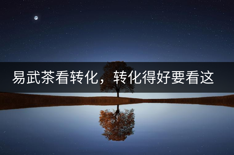 易武茶看轉(zhuǎn)化，轉(zhuǎn)化得好要看這三要素及品牌優(yōu)勢！