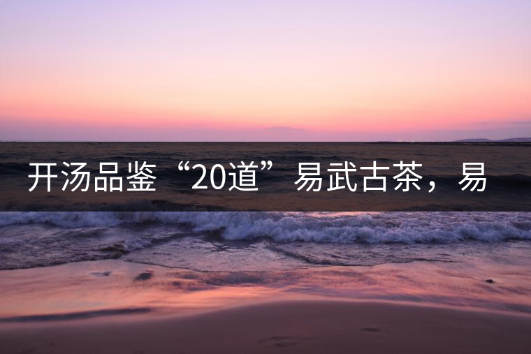 開湯品鑒“20道”易武古茶，易武茶特征你知道多少？