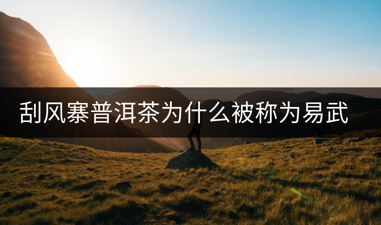 刮風(fēng)寨普洱茶為什么被稱為易武茶王？