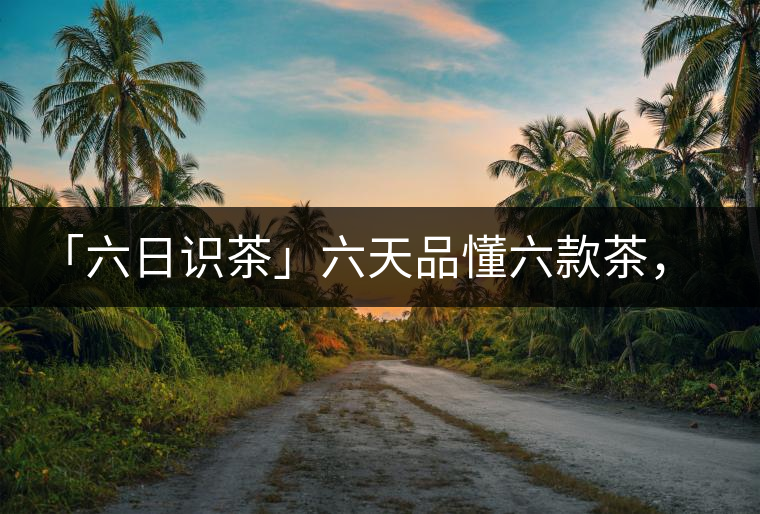 「六日識(shí)茶」六天品懂六款茶，從此愛(ài)上山頭茶