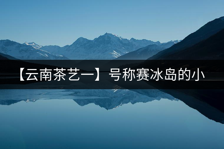 【云南茶藝一】號稱賽冰島的小戶賽憑什么！今天帶大家一起研究下