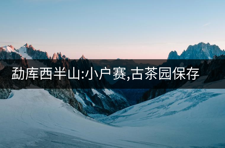 勐庫(kù)西半山:小戶賽,古茶園保存最好的寨子