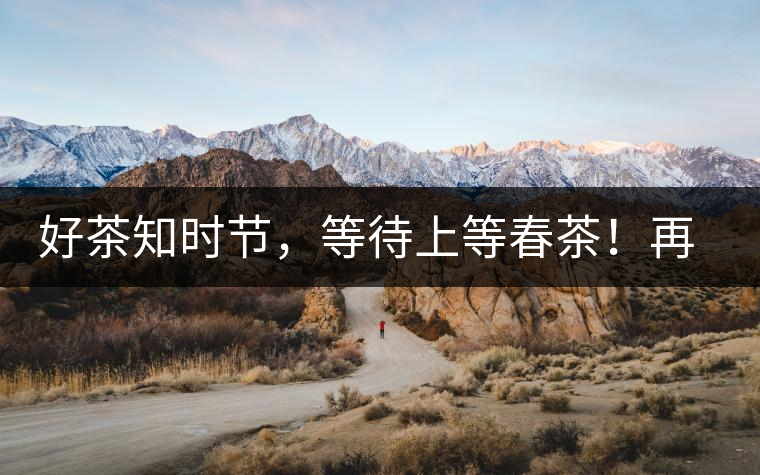 好茶知時節(jié)，等待上等春茶！再來回味這些年喝過的小戶賽古樹春茶