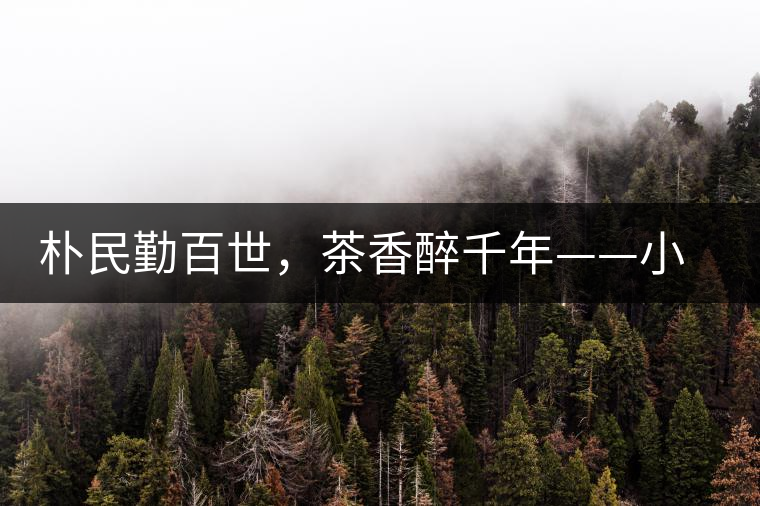 樸民勤百世，茶香醉千年——小戶賽古寨