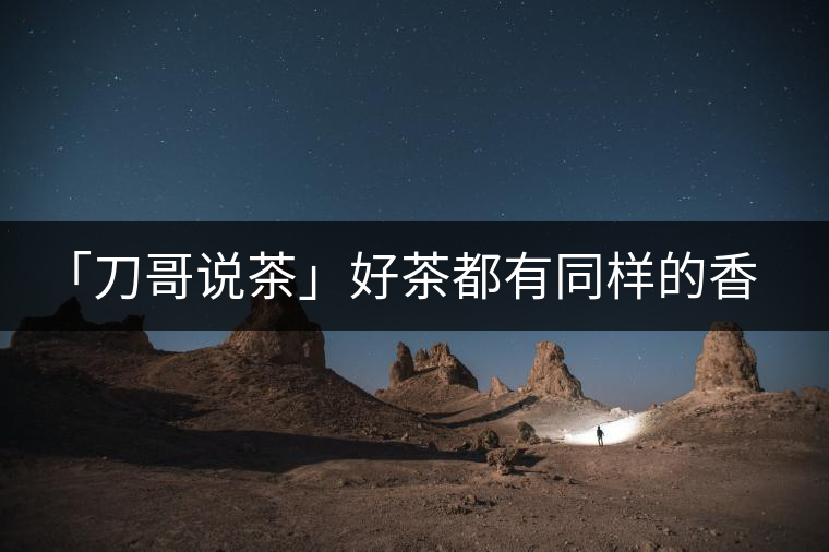 「刀哥說茶」好茶都有同樣的香，破茶卻有不同的味