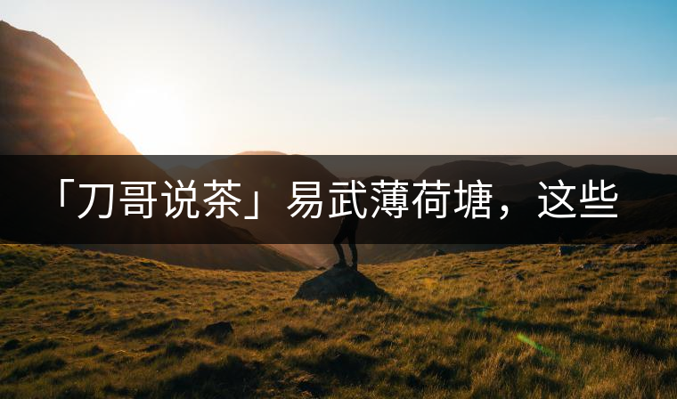 「刀哥說茶」易武薄荷塘，這些冷知識你該知道