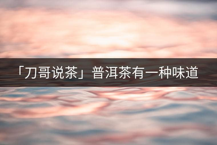 「刀哥說茶」普洱茶有一種味道，只可意會不可言傳
