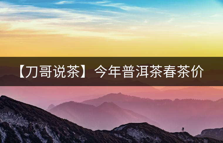 【刀哥說(shuō)茶】今年普洱茶春茶價(jià)格，我不預(yù)測(cè)