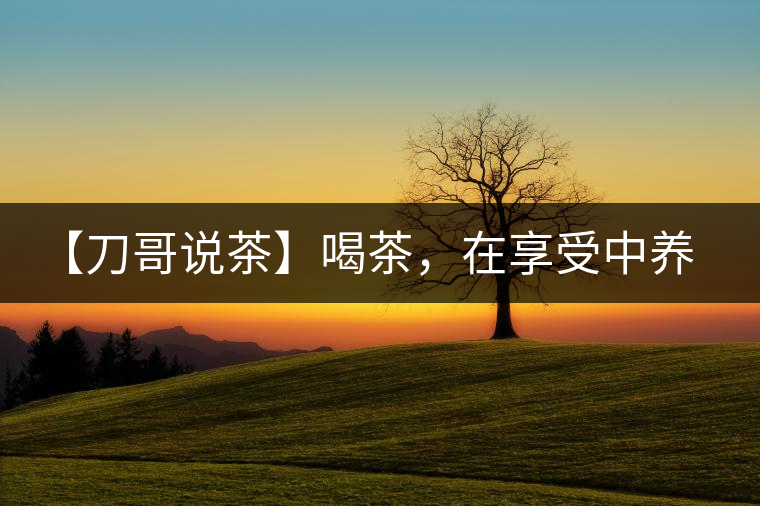 【刀哥說茶】喝茶，在享受中養(yǎng)生的最佳選擇