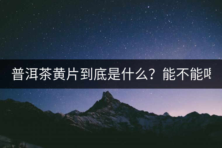 普洱茶黃片到底是什么？能不能喝？