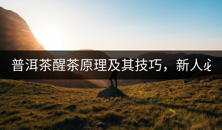 普洱茶醒茶原理及其技巧，新人必備！