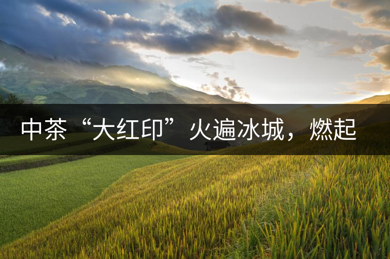 中茶“大紅印”火遍冰城，燃起普洱茶新味蕾