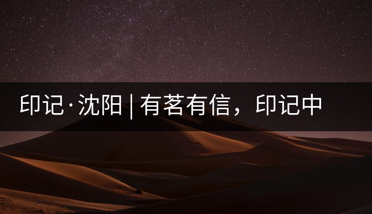 印記·沈陽 | 有茗有信，印記中茶，中茶普洱亮相沈陽茶博會(huì)
