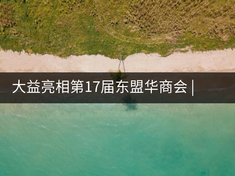 大益亮相第17屆東盟華商會(huì) | 海內(nèi)外嘉賓共謀發(fā)展，共品大益茶