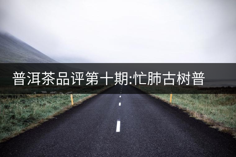 普洱茶品評第十期:忙肺古樹普洱茶品評第十期：忙肺古樹
