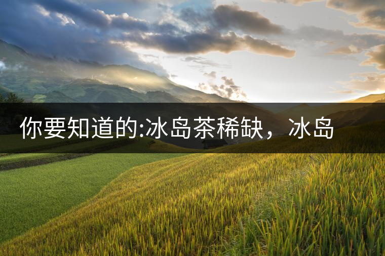 你要知道的:冰島茶稀缺，冰島熟茶更來之不易你要知道的：冰島茶稀缺，冰島熟茶更來之不易