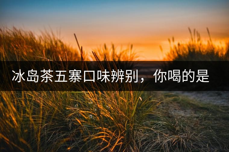 冰島茶五寨口味辨別，你喝的是正宗冰島茶嗎?冰島茶五寨口味辨別，你喝的是正宗冰島茶嗎？