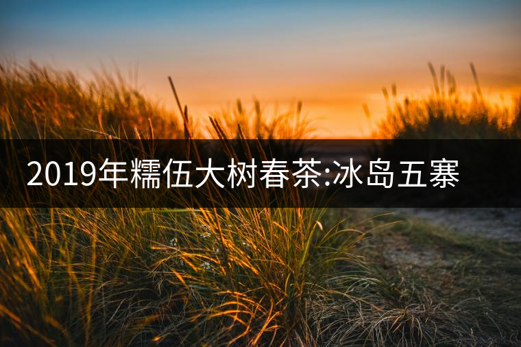 2019年糯伍大樹(shù)春茶:冰島五寨甜柔口感的代表，售價(jià)不...2019年糯伍大樹(shù)春茶：冰島五寨甜柔口感的代表，售價(jià)不到500