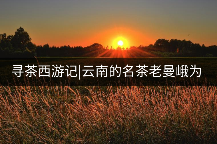 尋茶西游記|云南的名茶老曼峨為什么這么多人愛，這里...尋茶西游記｜云南的名茶老曼峨為什么這么多人愛，這里給你答案！