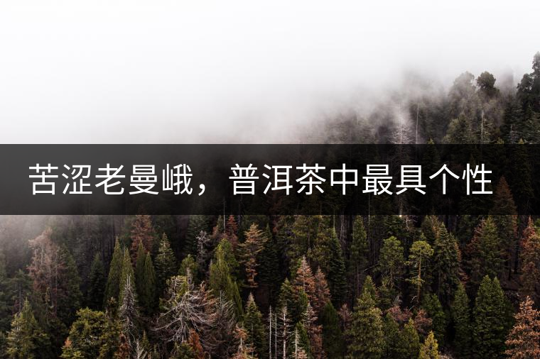苦澀老曼峨，普洱茶中最具個(gè)性的“布朗味”苦澀老曼峨，普洱茶中最具個(gè)性的“布朗味”
