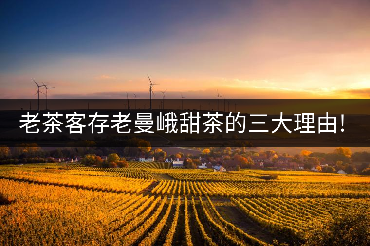 老茶客存老曼峨甜茶的三大理由!老茶客存老曼峨甜茶的三大理由！