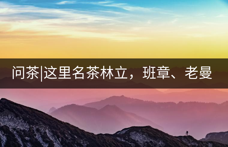 問茶|這里名茶林立，班章、老曼峨皆在其列!問茶｜這里名茶林立，班章、老曼峨皆在其列！