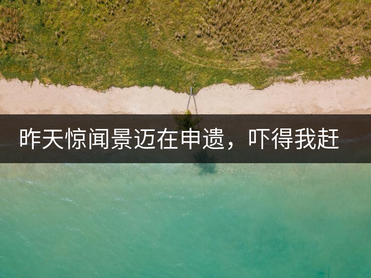 昨天驚聞景邁在申遺，嚇得我趕緊拿出景邁茶……昨天驚聞景邁在申遺，嚇得我趕緊拿出景邁茶……