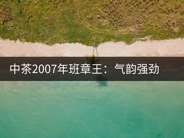 中茶2007年班章王：氣韻強(qiáng)勁，蜂蜜水般甜潤，一直被老茶客撿漏