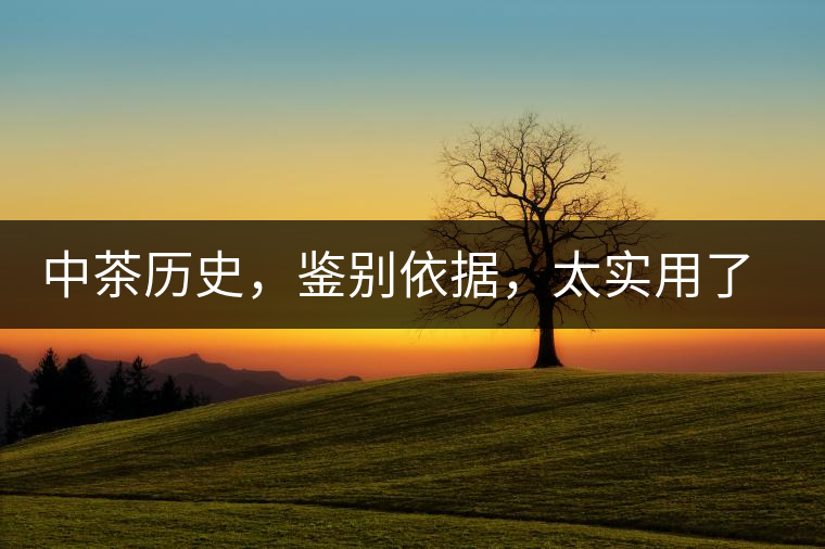 中茶歷史，鑒別依據(jù)，太實(shí)用了中茶歷史，鑒別依據(jù)，太實(shí)用了
