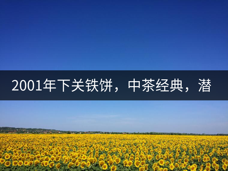 2001年下關(guān)鐵餅，中茶經(jīng)典，潛力可期!
