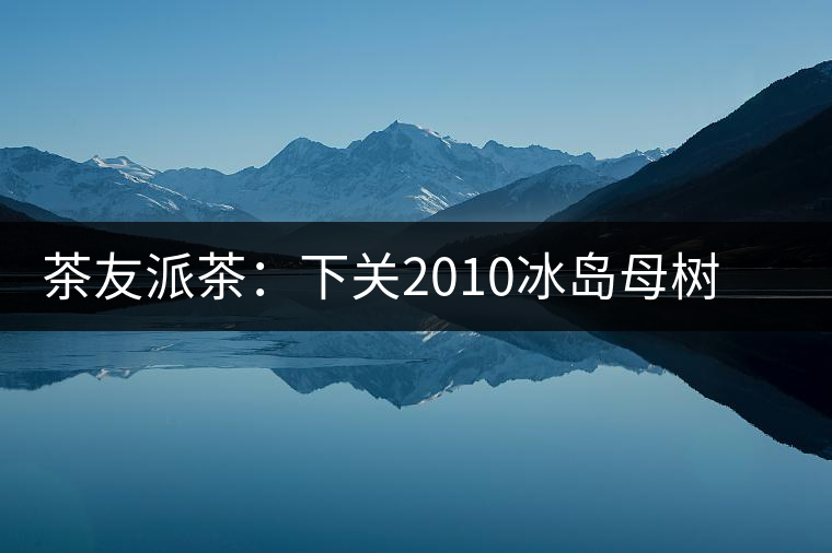 茶友派茶：下關(guān)2010冰島母樹，挺甜的，母樹是個什么概念？