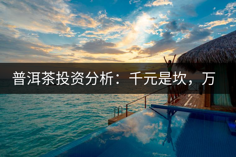 普洱茶投資分析：千元是坎，萬元是坑