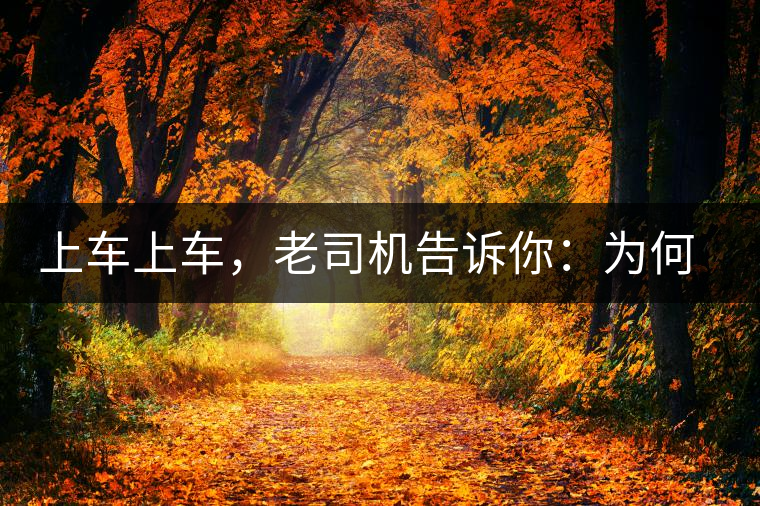 上車上車，老司機(jī)告訴你：為何明前茶貴如金