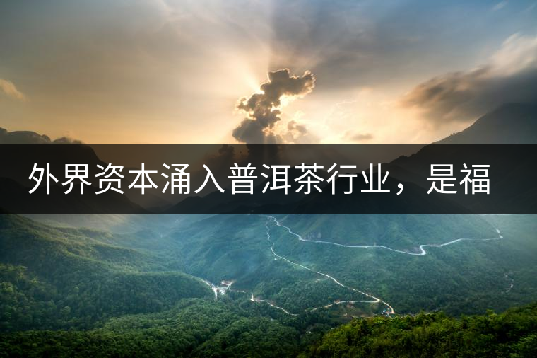 外界資本涌入普洱茶行業(yè)，是福還是禍？