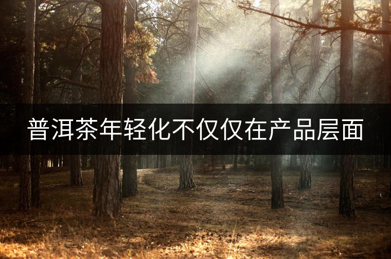 普洱茶年輕化不僅僅在產品層面