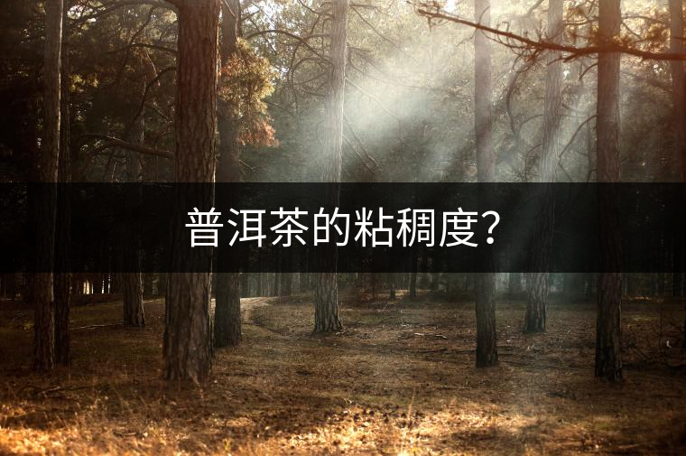 普洱茶的粘稠度？